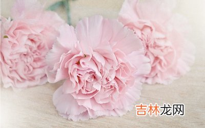 23-01时 2020鼠年母亲节子时出生的宝宝命好吗？