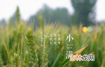 属鸡的人出生在小满节气命运顺不顺？属鸡今年多大？
