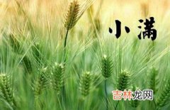 2020庚子鼠年小满节气午时出生宝宝命理解析