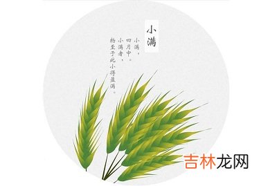 小满的寓意,生肖属虎的人小满节气出生命运好不好?
