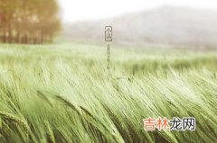 2020年小满节气申时出生的宝宝命好不好？