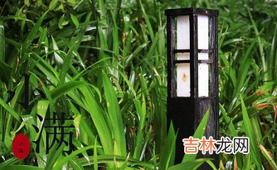 2020年小满节气戌时出生宝宝喜用神是什么，命如何？