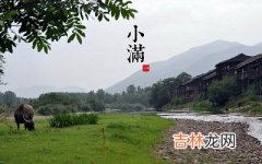 2020年小满节气戌时出生宝宝喜用神是什么，命如何？