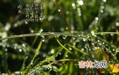 在线测字,2020庚子鼠年雨水时辰吉凶宜忌解析，雨水节气回娘家？