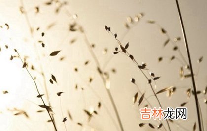 测字算卦,2020年鼠年农历十月有几天日子是黄道吉日？