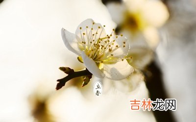 紫薇命盘,2020鼠年立春日子好吗？立春的含义是什么意思？