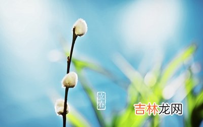 紫薇命盘,2020鼠年立春日子好吗？立春的含义是什么意思？