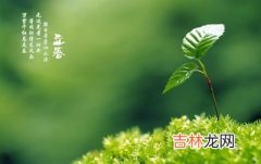 紫薇命盘,2020鼠年立春日子好吗？立春的含义是什么意思？