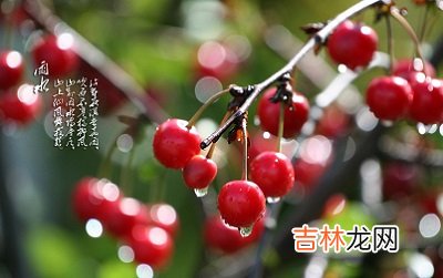 免费个性化算,雨水节气有什么物候特征？2020年雨水财神方位查询