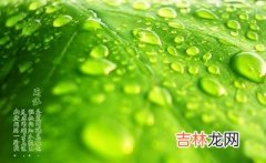 免费个性化算,雨水节气有什么物候特征？2020年雨水财神方位查询