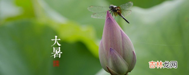 大暑怎么养生祛湿  大暑怎样养生祛湿