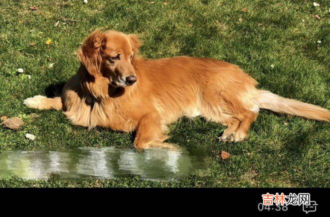 拒绝“躺平”的中老年人,必须“重阳”