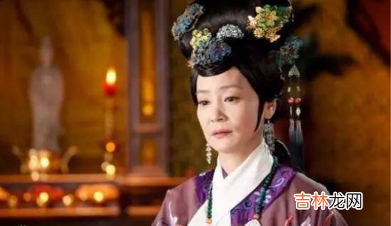 老十四胤禵和老四胤禛一母同胞亲兄弟，他为什么却支持老八？