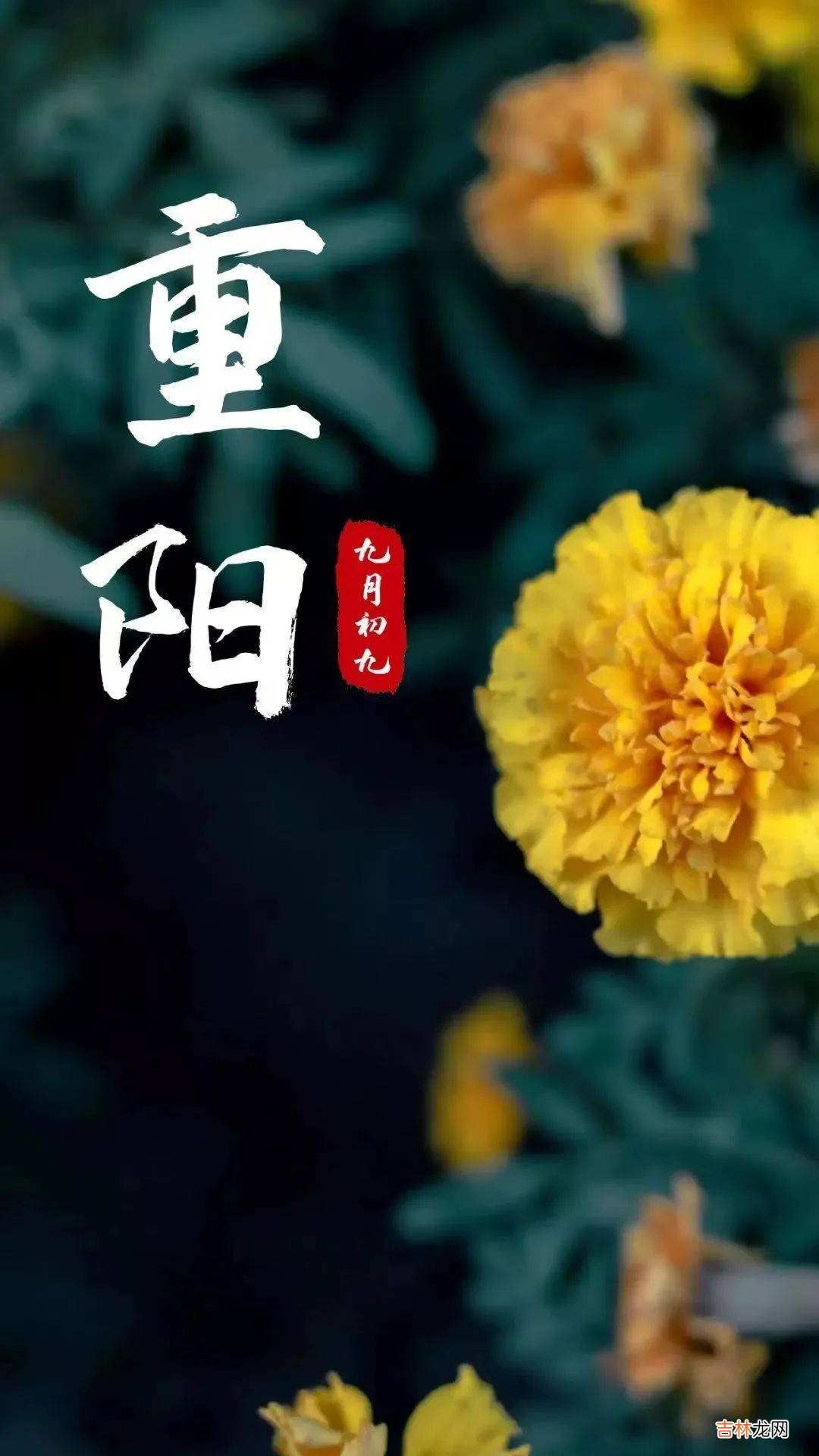 忻州实验中学“九九重阳节”敬老爱老倡议书
