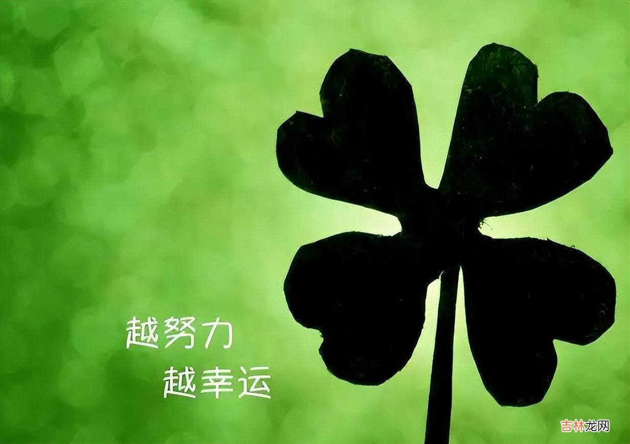 “诗是她的，与我没关系”，贾浅浅的诗，其父亲也看不下去
