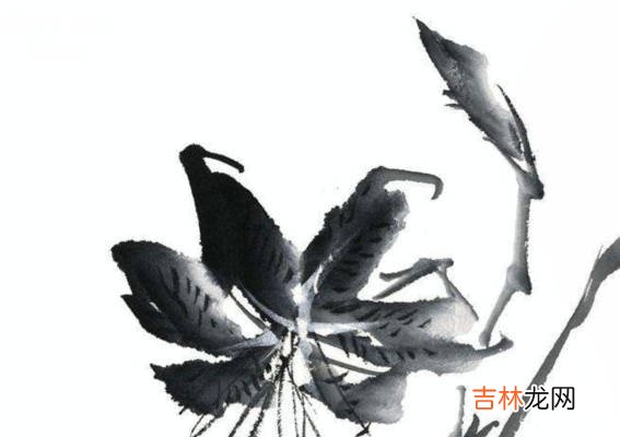 生辰八字算命怀男女准吗,看生男女的方法