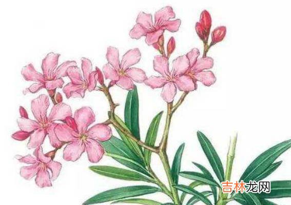 八字在线算命免费排盘,八字排盘怎么看财运