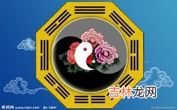 生辰八字解读,周易算命：八字藤萝系甲格局