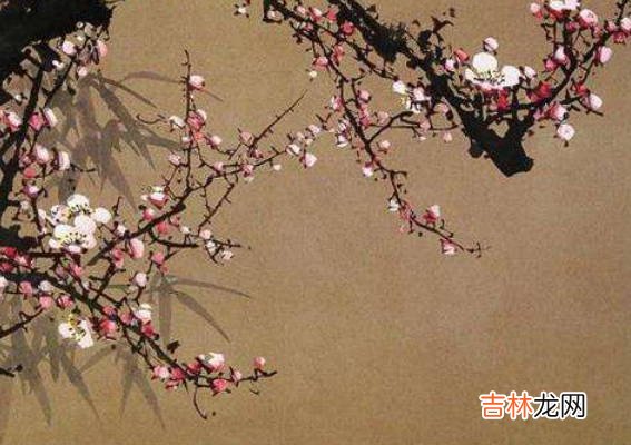 2020年农历五月出生的宝宝命里缺什么,2020年鼠宝宝什么命