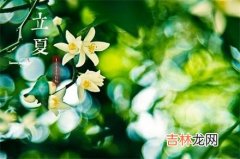 2020年立夏5月5日出生男孩好不好？属鼠出生时辰命运？