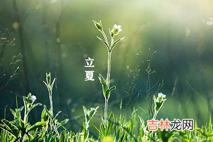 2020年5月5日立夏出生的鼠宝宝好不好？命运如何？