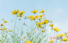 真人算命大师在线算命,2020年正月二十一情人节可以签约纳财吗，相冲生肖是？