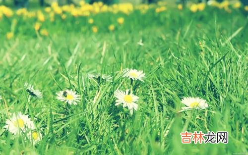 生辰八字解读,2020年正月二十八马日是好是坏,是不是吉日?