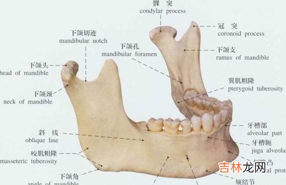 孩子用奶瓶最多能到几岁？超过这一年龄，当心娃“变丑”