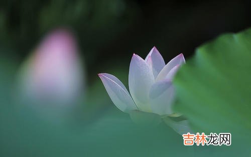 八字合婚,雨水节气·2020年正月二十六宜开市求财吗，日子好吗？