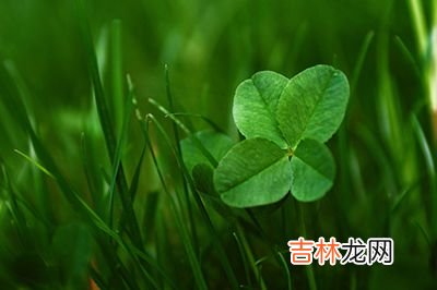 紫薇命盘,2020年农历二月十九是植树节吗？适合祭祀祭祖吗？