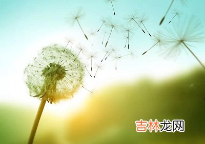 紫薇命盘,2020年农历二月十九是植树节吗？适合祭祀祭祖吗？