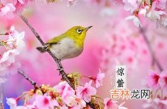 专业八字测试,2020年农历二月十二惊蛰日子好吗？适不适合祭祖？