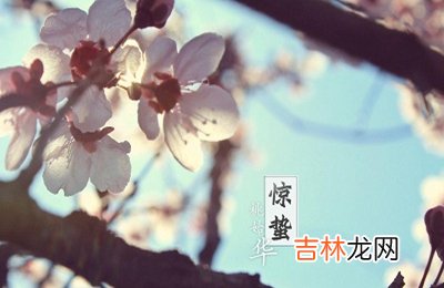 专业八字测试,2020年农历二月十二惊蛰日子好吗？适不适合祭祖？