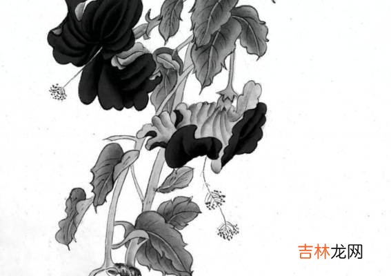 2020年农历六月出生男鼠宝宝好不好,宝宝运势