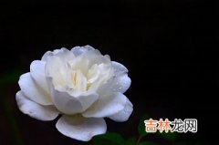 周易占卜,2020庚子年农历二月初三日是出殡的好日子吗？