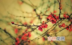 在线算命,2020己亥猪年腊月二十二是什么节日？有什么习俗？