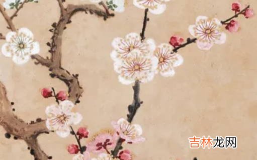 2020年6月26号五月初六出生的人性格命运解析,五行八字查询