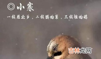 测字算卦,2020年小寒当天忌动土吗,2020年小寒期间可以拔罐吗?