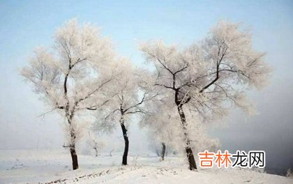 免费算命大全,2020年大寒这天装修动土好不好,关于大寒节气谚语解析！