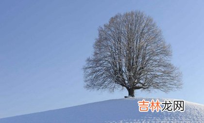 免费算命大全,2020年大寒这天装修动土好不好,关于大寒节气谚语解析！