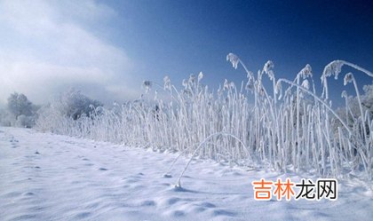 免费算命婚姻,2020年1月20日大寒出行好不好,大寒冷还是小寒冷？