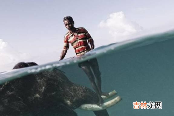 幽默搞笑段子，好男人是什么样的？爱打毛衣的男人肯定是好男人