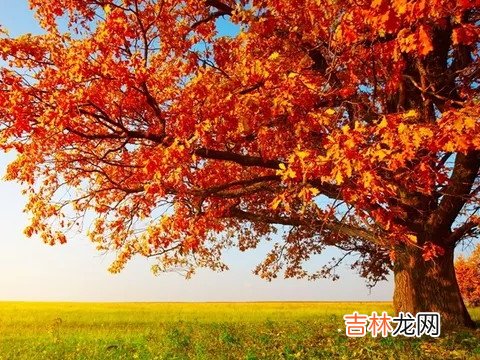 什么样的八字比较聪明