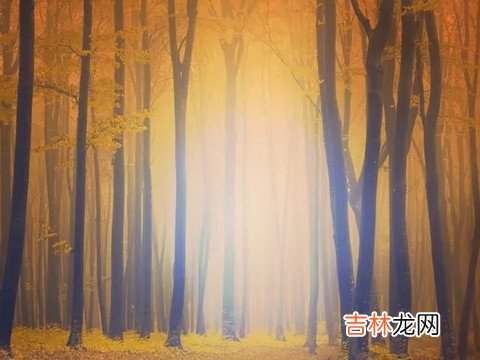 八字看心机城府 什么样的人心机重