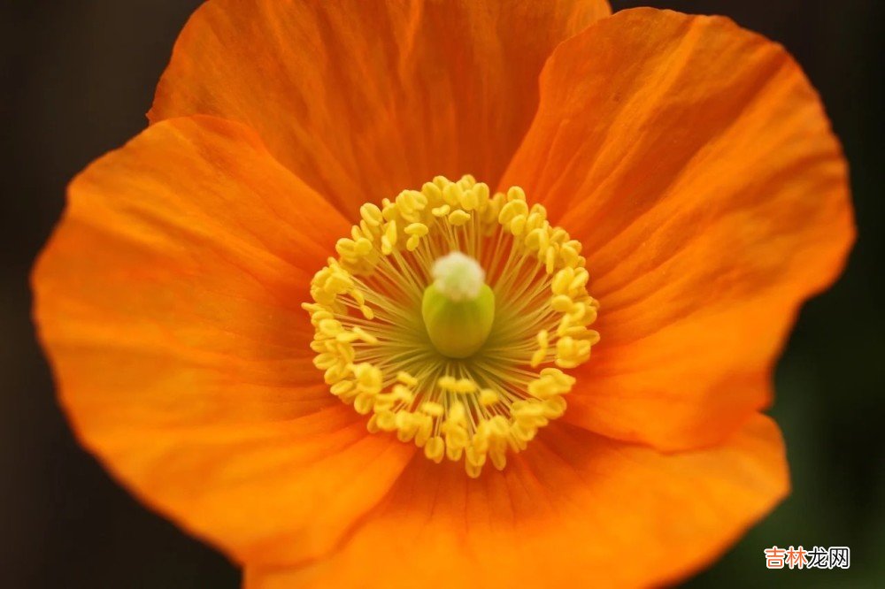 心理学:跟爱人相处,你要学会的“恋爱潜规则”