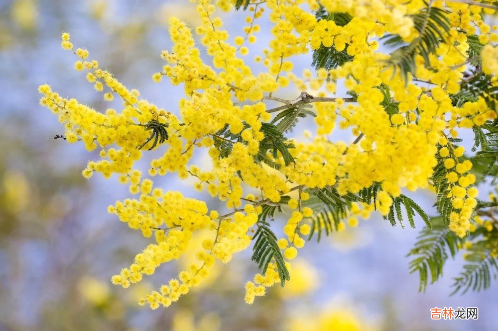 心理学:跟爱人相处,你要学会的“恋爱潜规则”