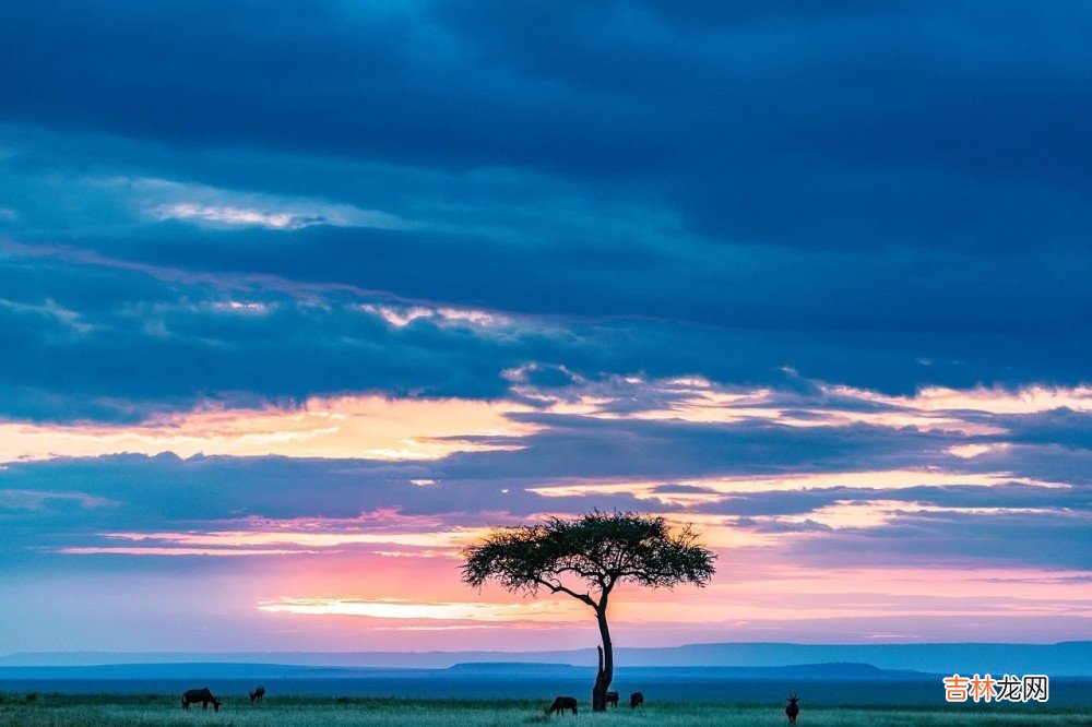 心理学:跟爱人相处,你要学会的“恋爱潜规则”