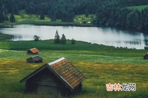 八字身强无财星命运好吗