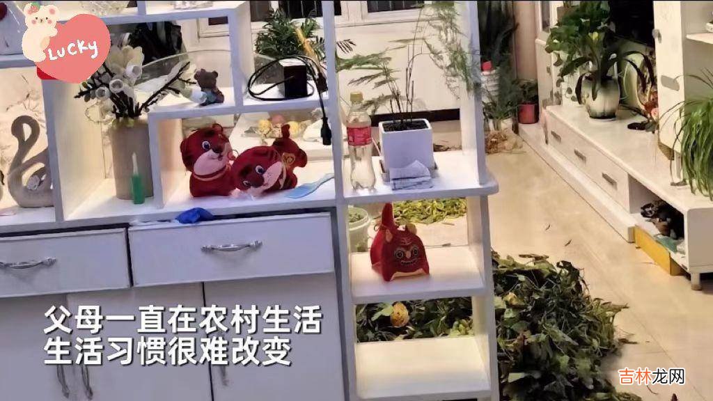 乡下父母假期来女儿家，女儿开门后气到窒息：客厅变成农作物晒场
