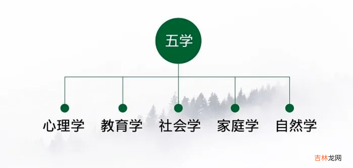 一座森林教育：“开窍晚”？养育男孩儿，父母可以慢一点，再慢一点